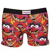 Men's Muppets Animal Faces Boxer Shorts