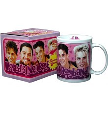 Take That: Worlds Number 1 Boy Band Mug [View details]